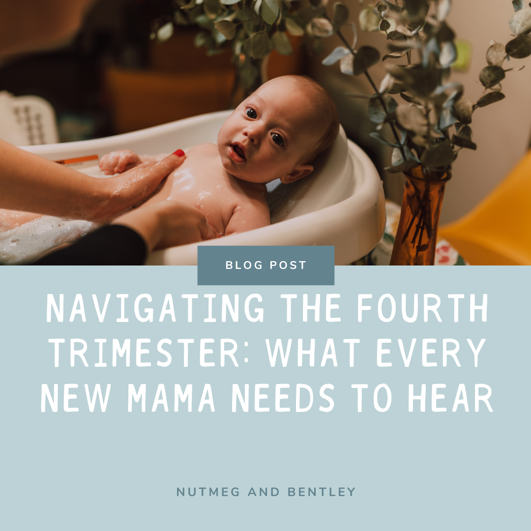 Navigating The Fourth Trimester - What Every New Mama Needs To Hear